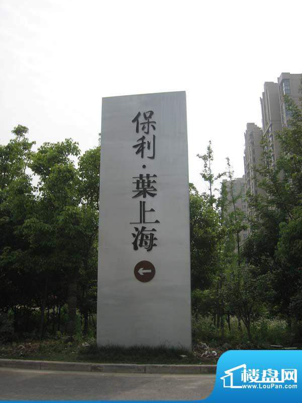 保利叶上海实景图 （2010-05-20）