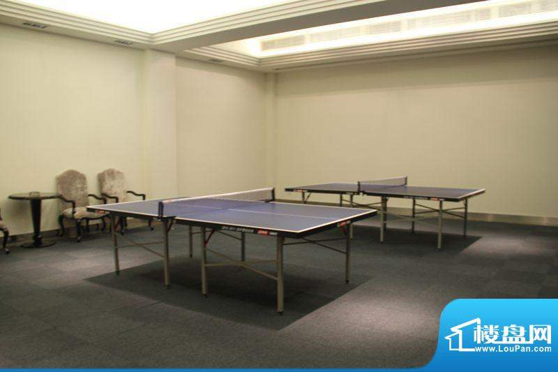 金众金域半山会所乒乓球厅（2012-05-22