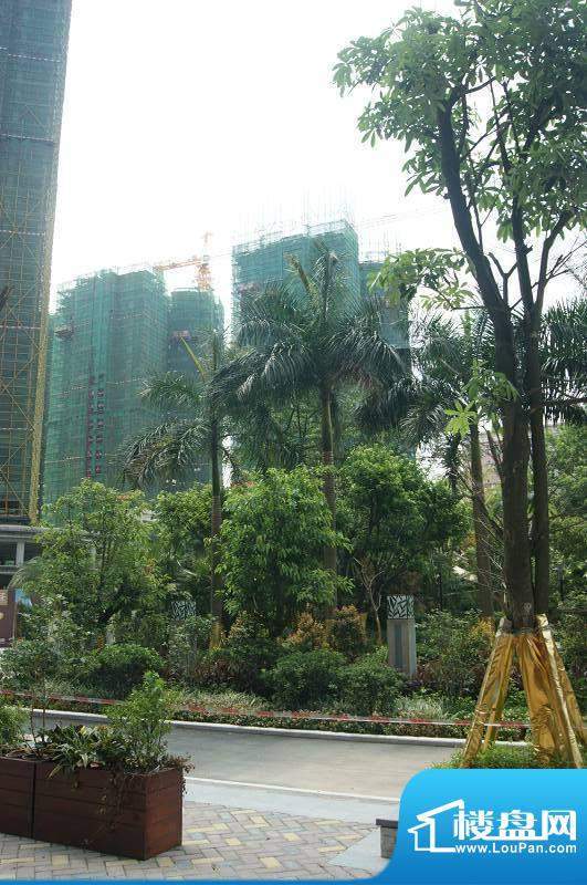 祥利上城小区园林实景图（2012-6-28）