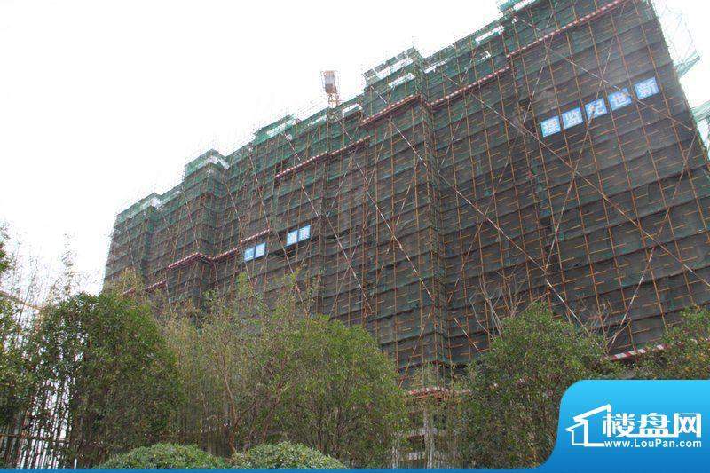 红鼎湾花园高层建筑进度2011.10.24