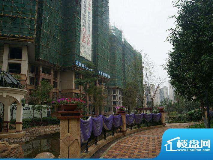 中惠香樟绿洲41-45栋楼前园林（2012-03