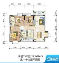 鼎盛中环1#楼3-19层面积:123.02平米