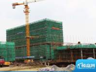 晋合公寓工程进度4#建到第10层2011.08.