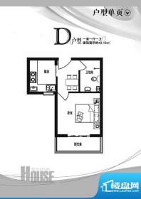 吉隆公寓户型D 1室1面积:43.13m平米