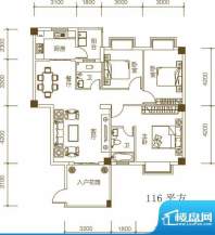 紫荆府三房户型图 3面积:116.00m平米