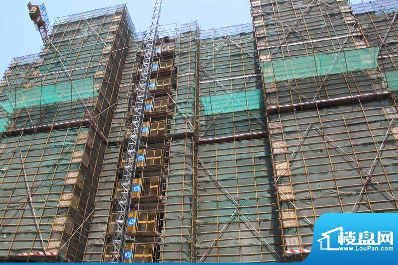 置地青湖语城二期工程进度图建到10层20