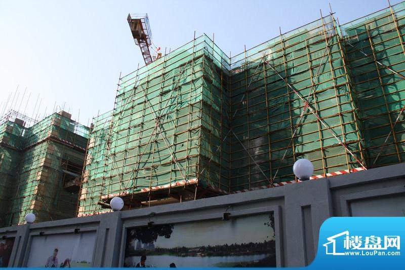 置地青湖语城二期工程进度建到第8层201