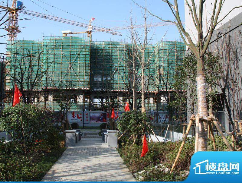 置地青湖语城二期高层建到第8层2010.12