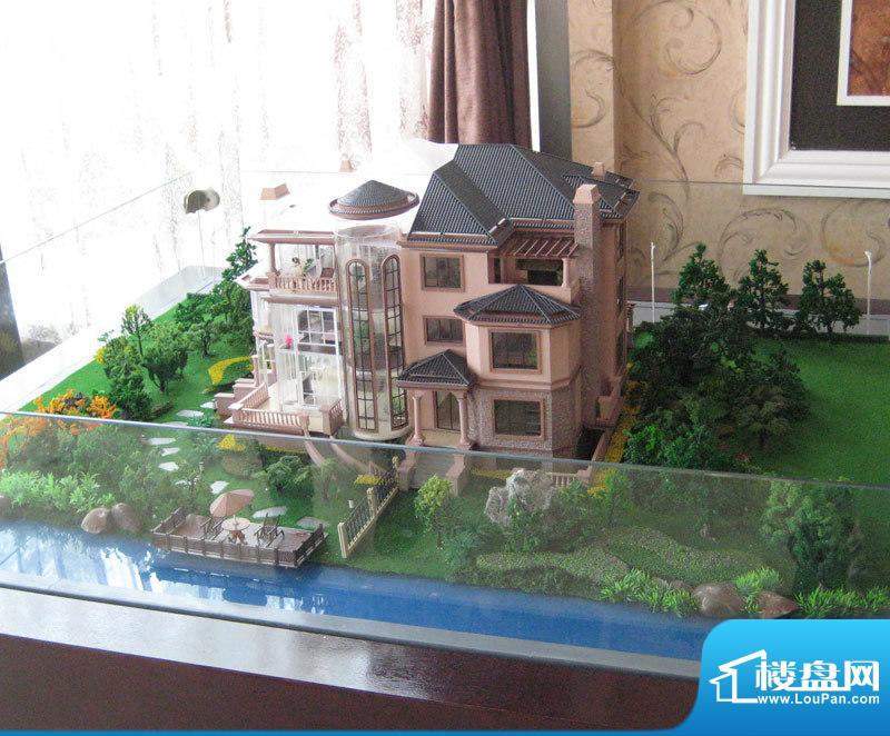 罗马风情城双拼别墅模型（2010.11）