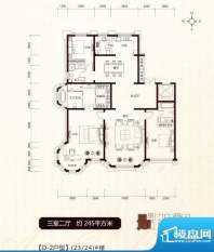 伊泰·华府岭秀D2户面积:245.00m平米