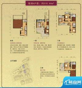 晶园晶街联排A户型 面积:318.44m平米