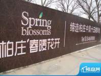 柏庄春暖花开外墙广告（2011-03-16）