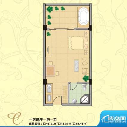 伟业莱茵半岛C户型 面积:48.35平米