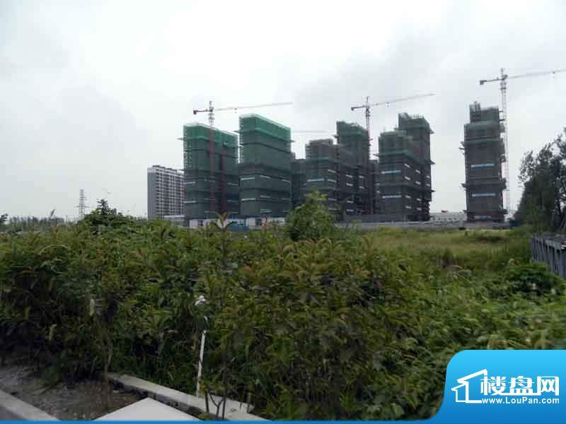 金辉悦府整体工程进度（2012-08-14）