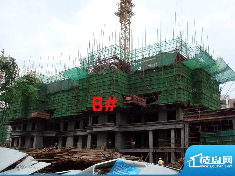 康城静林湾8#楼工程进度（2012-08-10）