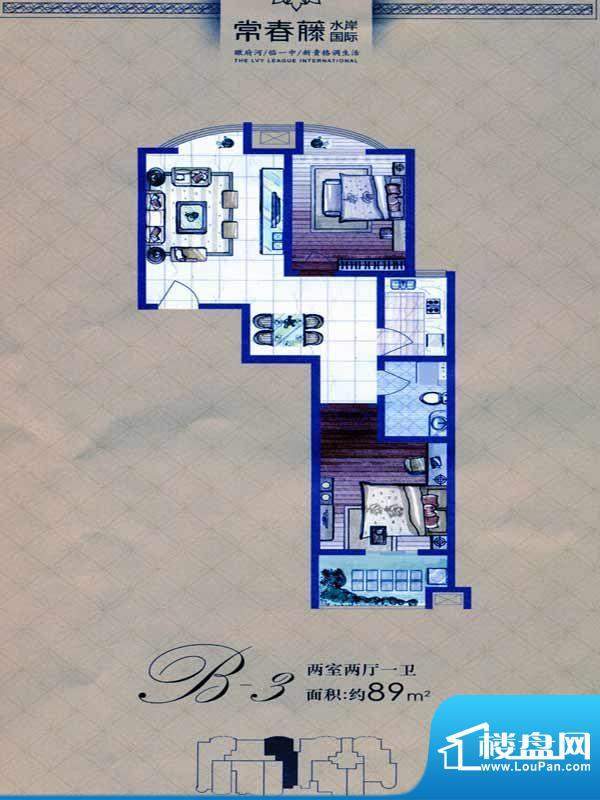 常春藤水岸国际B3户面积:89.00m平米