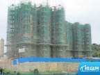 聚仙阁工程实景图（2011-8-9）