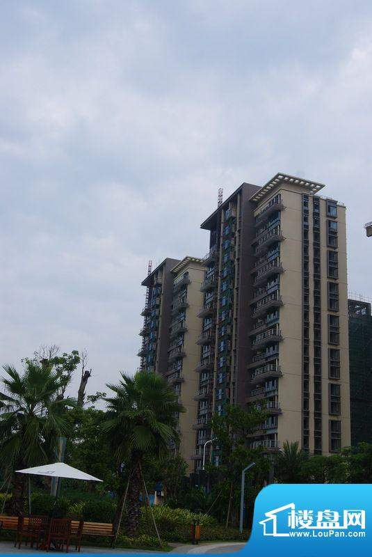 广物滨江海岸住宅楼实景图（20120820）