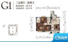 树高卡地亚G1 3室2厅面积:107.00平米