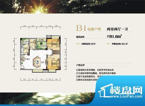 昊星观岭8号B1电梯户面积:91.60平米