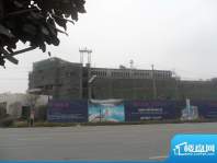 蓝鼎海棠湾整体工程进度（2012-01-17）