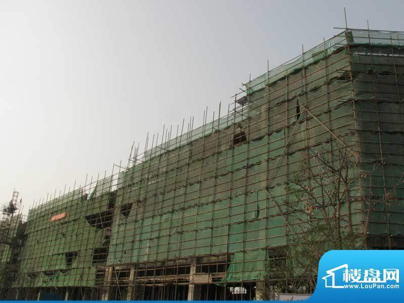 蓝鼎海棠湾整体工程进度（2011-11-20）