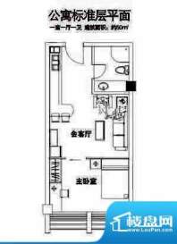铂金汉宫公寓标准层面积:50.00平米