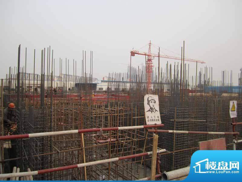 华凤国际工程进度（2011.1.19）