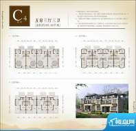 黄山桃花源C4联排户面积:193.85平米