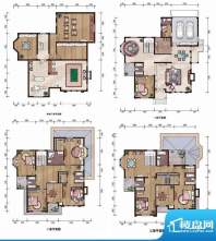 诚恒世嘉B3户型7室面积:428.00m平米