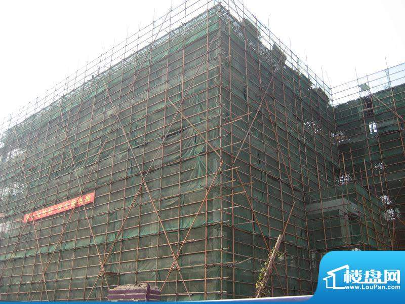 尚城公馆项目现场建筑实景图（2010.11.
