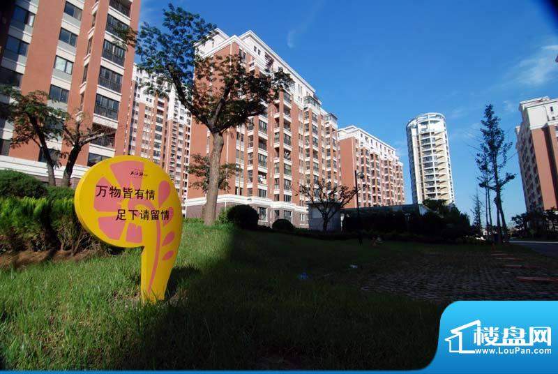 上海滩花园B区已交房小高层实景2012090