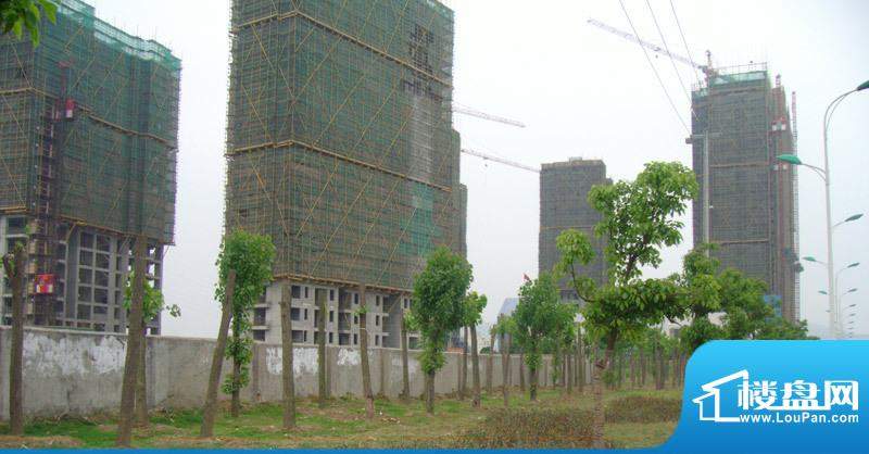 浙建枫华紫园二期小高层工程进度2010.5