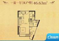 四季春城温泉谷E户型面积:46.63平米