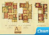 香溢孔望A户型 388㎡面积:388.00m平米