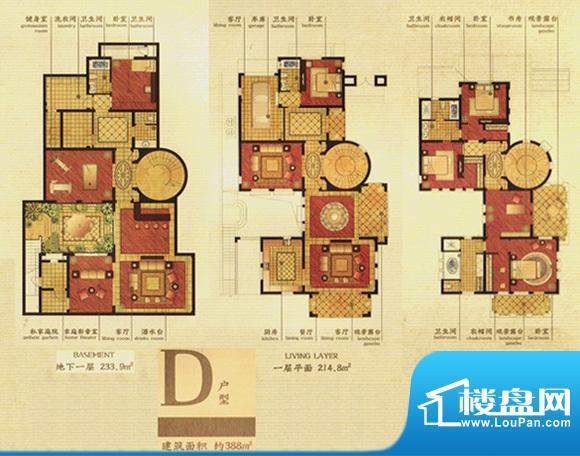 香溢孔望D户型 388㎡面积:338.00m平米