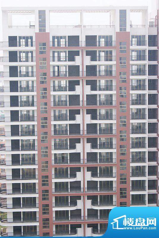 春华公寓小区实景（20110224）