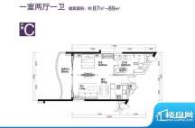 神州半岛君临海C户型面积:89.00平米