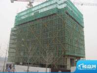 保利梧桐语13幢施工实景图（2012.02）