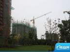 保利罗兰香谷二期2-11幢工程进度（2012