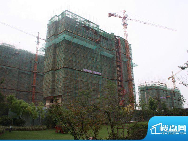 保利罗兰香谷二期01幢工程进度（2012-0