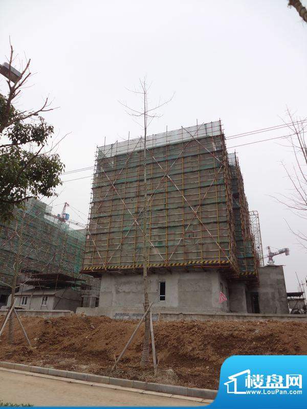 朗诗钟山绿郡二期11幢施工进度（2012-2