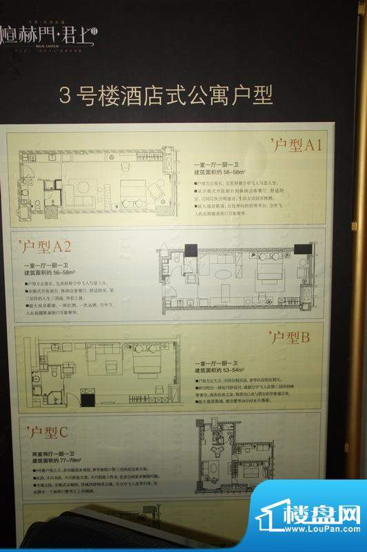 凯铂精品酒店三期3号楼户型展示图（201