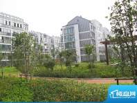 金东城雅居一期11栋及小区绿化（2010.9