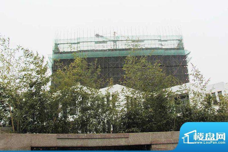 国信阅景龙华四期14号楼施工进度（2012