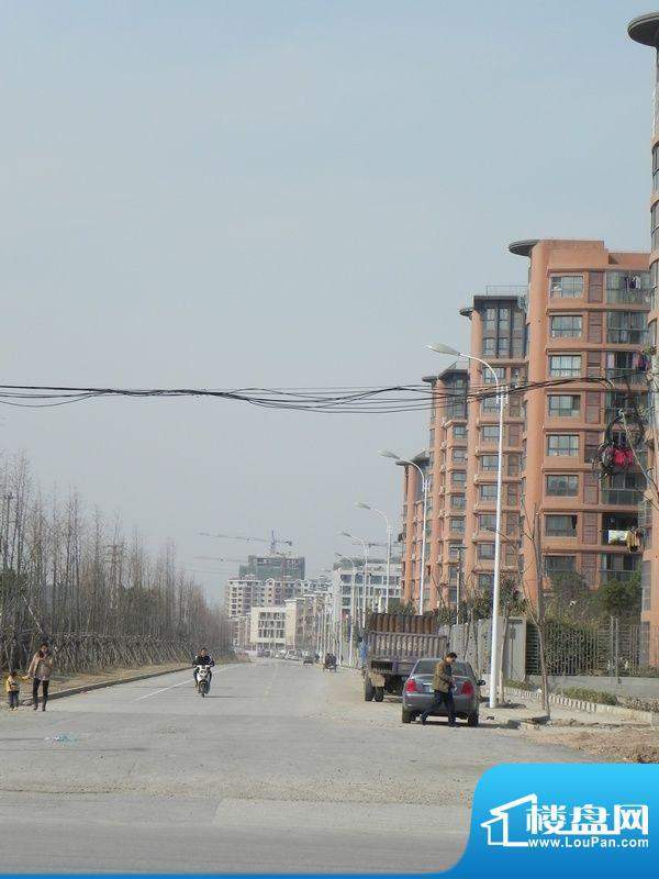 世纪东山世纪东山西面道路实景(2012.3.