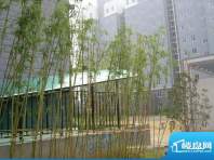 东城天骄二期4#楼西侧车库入口（2010.9
