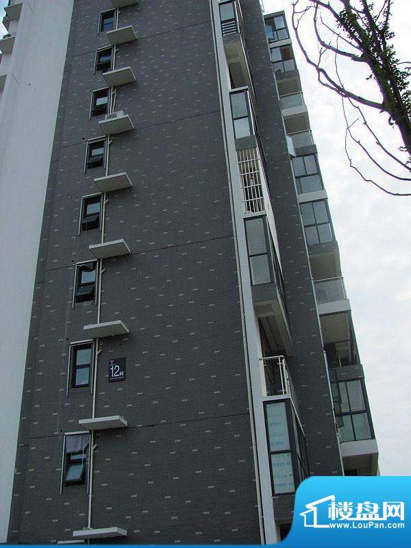 宜家国际公寓12栋实景图（2012.9.1）