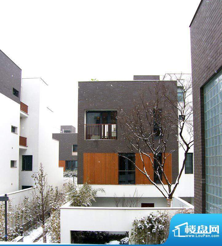 长兴秀江南小区雪景图（20110211）