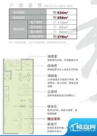 长兴秀江南D3户型地面积:256.00平米